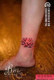 дівчинка маленький і ніжний колір лотоса татуювання візерунок