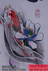 Tatuiruotės rankraštis - spalvotas lotoso karpio tatuiruotės rankraštis
