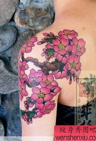 artistja japoneze e tatuazheve të tatuazheve me ngjyra të shpatullave. Punët e tatuazhit japonez funksionojnë kokën dhe tatuazhet e syve