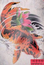 漂亮的彩色魷魚和蓮花紋身手稿