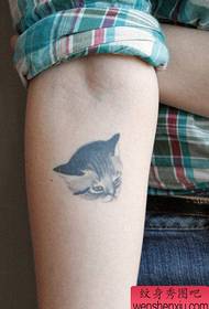 手臂女孩喜歡的小貓紋身圖案