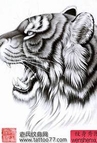 όμορφος τίγρης τίγρη κεφάλι τατουάζ χειρόγραφο