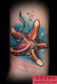 modello di tatuaggio carino: foto di modello di tatuaggio di stelle marine carina