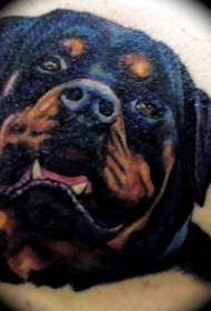 patrón de tatuaxe realista de cachorros de Rottweiler de cor de ombreiro
