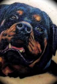 skouerkleur realistiese Rottweiler-hondjies se tatoeëringspatroon