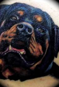 ubu agba ezi Rottweiler ụmụ nkịta usoro