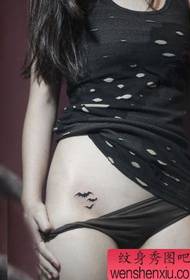 girl abdomen popular totem small bat tattoo pattern