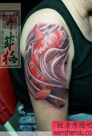 Opere di tatuaggio di calamari di colore del braccio del tatuatore giapponese