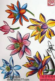 Manuscrit de tatouage - Manuscrit de tatouage Lotus couleur