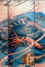 لون الذراع الحبار الكبير مع صورة الوشم قنديل البحر