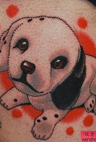 carino un cane maculato per tutti