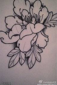 Modello Manoscritto Fiore Di Peonia