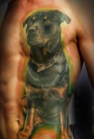 бүйірлік қабырғалы ротвейлердің түрлі-түсті татуировкасы