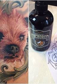 manoscritto carino piccolo modello di tatuaggio Teddy