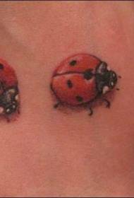 სამი cute scoops Insect tattoo ნიმუში