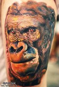 vzorec tatoo orangutana