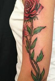 brazo unha tatuaxe de rosas ansiando amor
