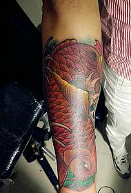 akpa akpa red squid tattoo tattoo na anya dị mma n’anya
