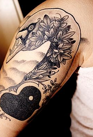 大きな腕に美しい白鳥のタトゥー