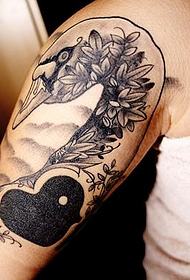 bellissimo tatuaggio del cigno sul braccio grande