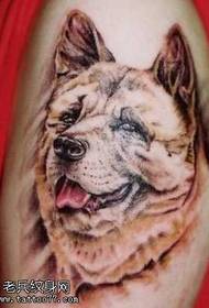 Patrón de tatuaje de can grande