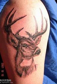 modello di tatuaggio cervo personalità braccio