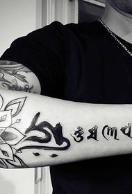 Lotus ma le Sanskrit fusu faʻatasi ata