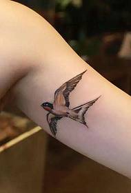 piccolo tatuaggio di rondine che vola liberamente all'interno del braccio