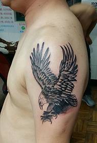 eagle fersprate wjukken tatoeaazje kreas net wolle