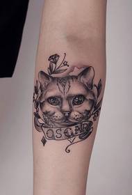 Tato lengen komet cute