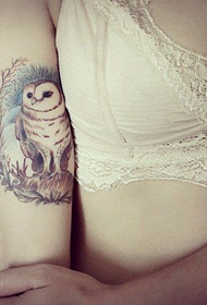 tatuagem de coruja de braço bonito