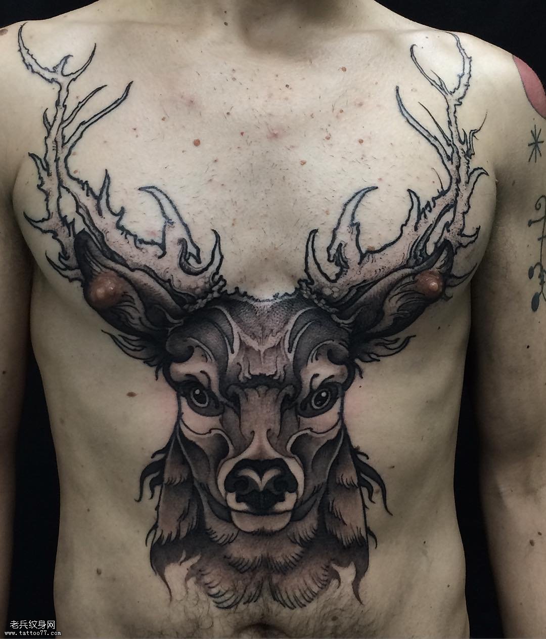 Pola tattoo Elk.