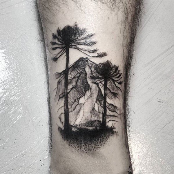 ARAUCÁRIA TATTOO | Tatuagem, Tatuagens, Instagram