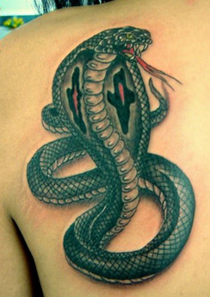 Змея на спине