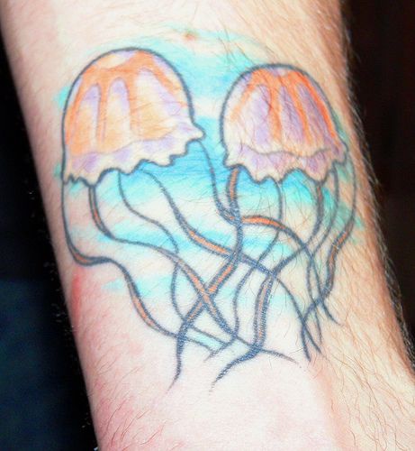 У медузы есть мозги. Эскизы медуз для тату на руке красивые. Медузы с цветами тату на руке.